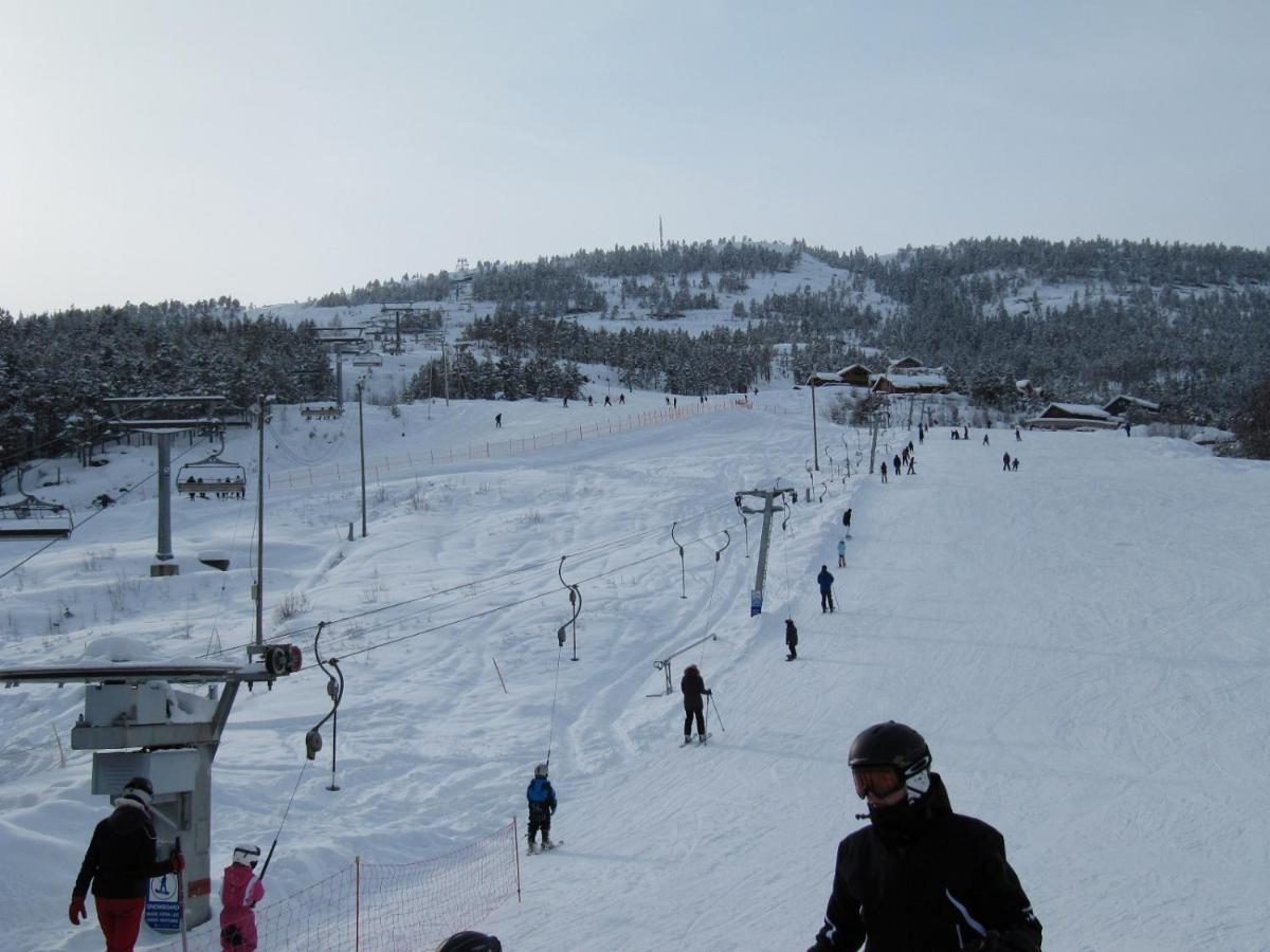 Vradal Panorama - Tiurasvegen 39别墅 外观 照片