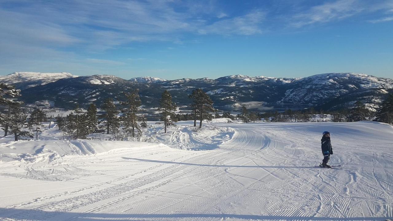 Vradal Panorama - Tiurasvegen 39别墅 外观 照片